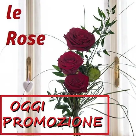 Апарт-отель Le Rose Парма